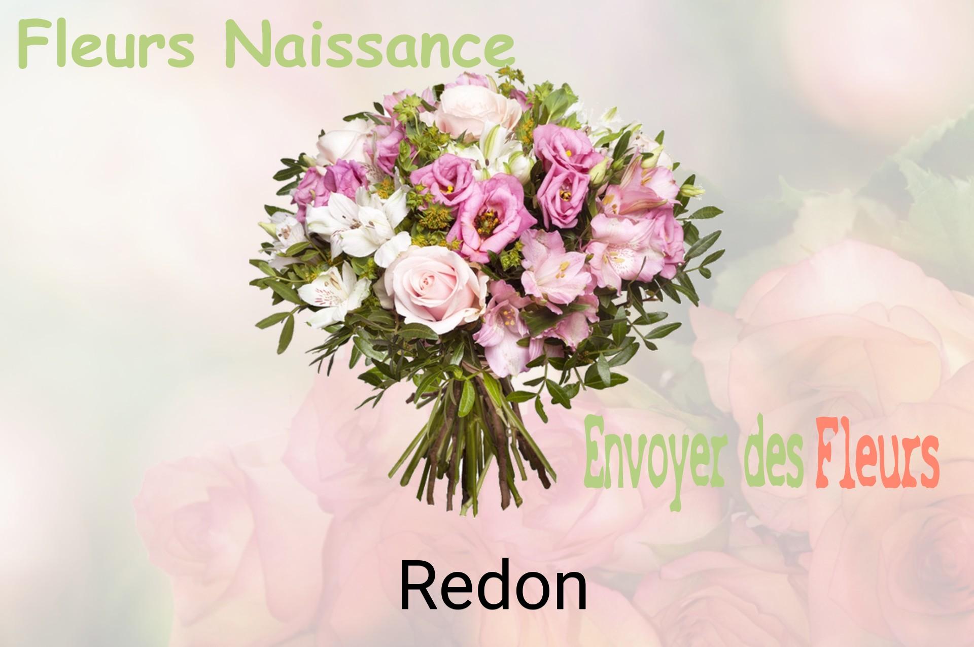 Bouquet de fleurs de naissance livré à Redon